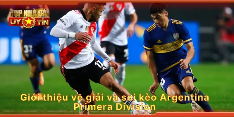 Giới thiệu về giải và soi kèo Argentina Primera Division