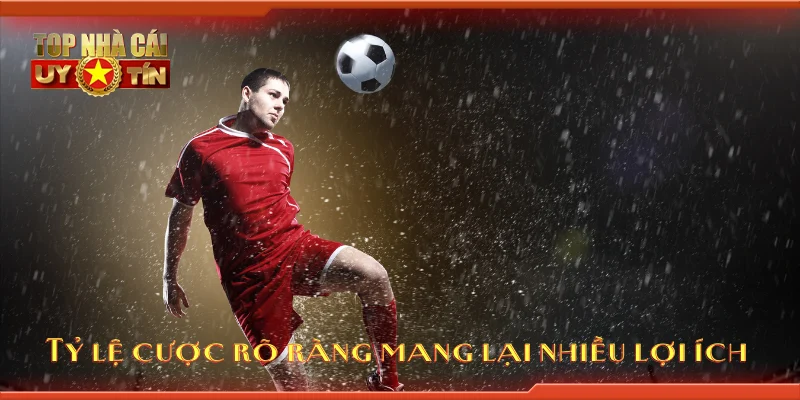 Tỷ lệ cược rõ ràng mang lại nhiều lợi ích