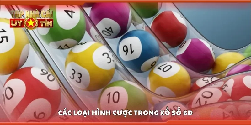 Các loại hình cược trong xổ số 6D