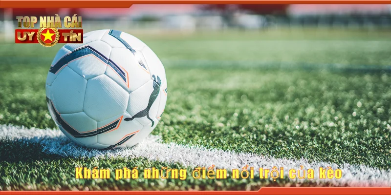 Khám phá những điểm nổi trội của kèo
