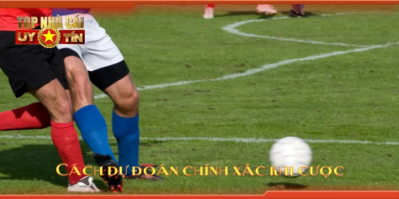 Cách dự đoán chính xác khi cược