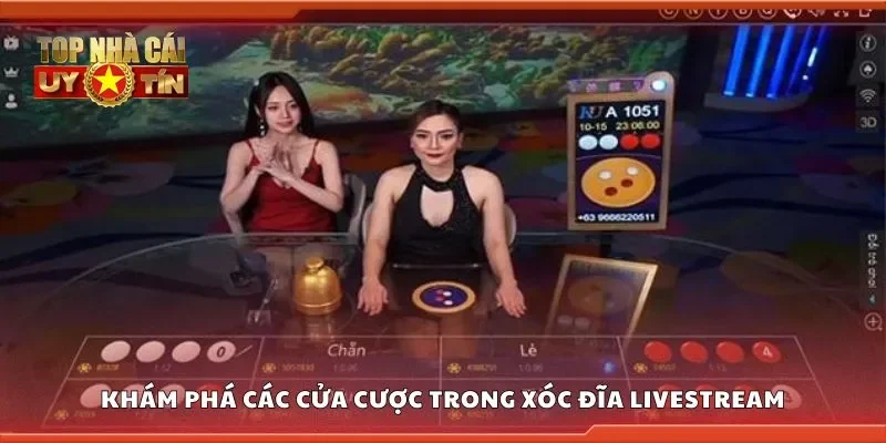 Khám phá các cửa cược trong xóc đĩa livestream