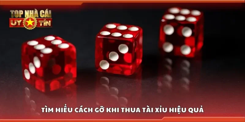 Tìm hiểu cách gỡ khi thua tài xỉu hiệu quả