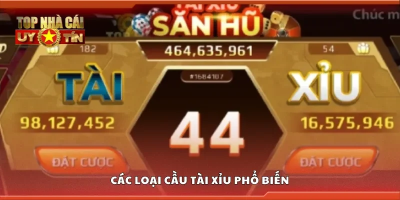 Một số loại cầu tài xỉu phổ biến