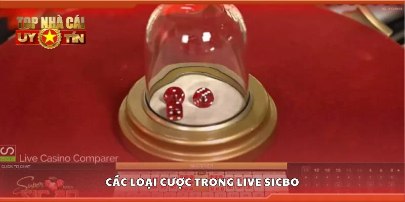 Khám phá các loại cược trong Live Sicbo