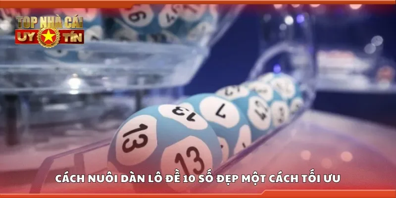 Cách nuôi dàn lô đề 10 số đẹp một cách tối ưu