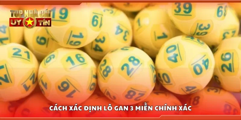 Hướng dẫn xác định lô gan 3 miền chính xác