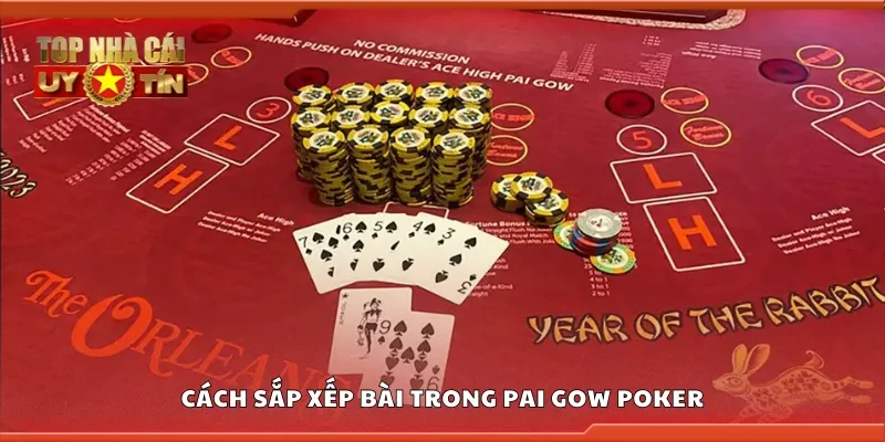 Hướng dẫn cách sắp xếp bài trong pai gow poker