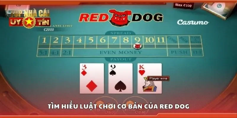 Tìm hiểu luật chơi cơ bản của red dog