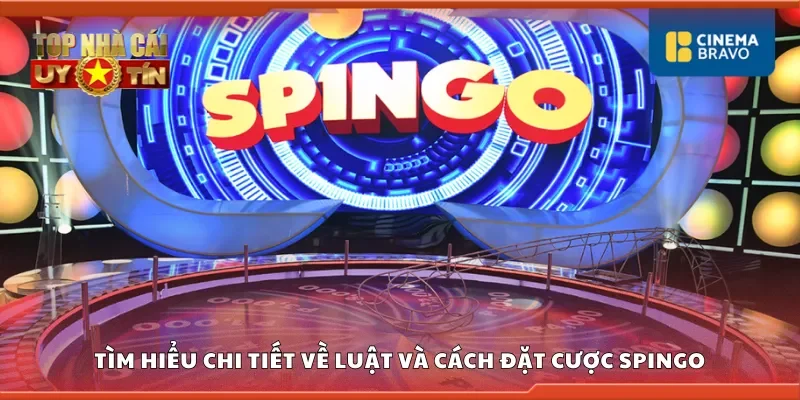Tìm hiểu chi tiết về luật và cách đặt cược spingo