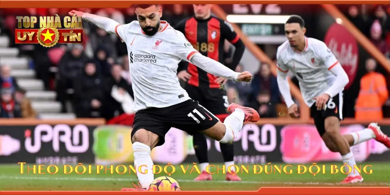 Theo dõi phong độ và chọn đúng đội bóng