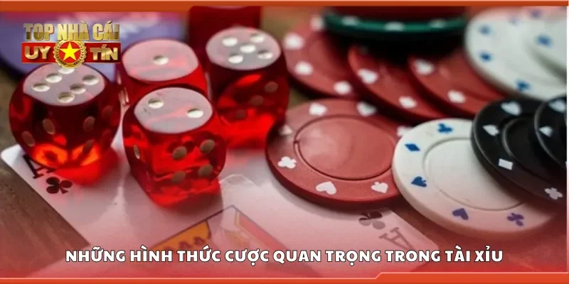 Những hình thức cược quan trọng trong tài xỉu