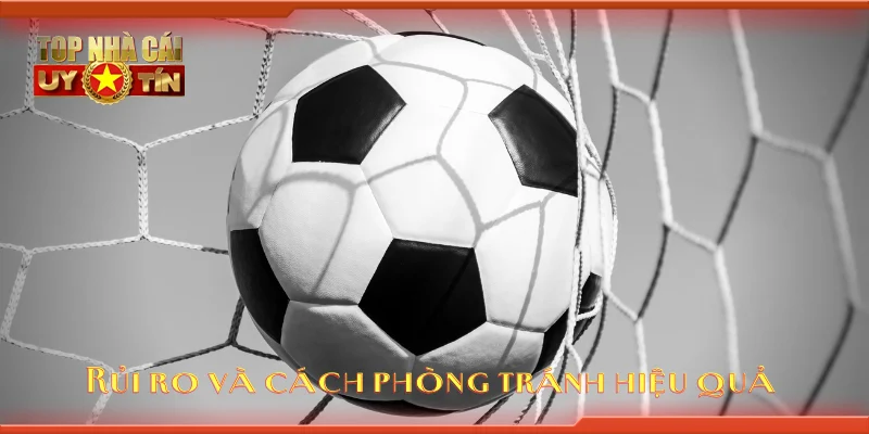 Rủi ro và cách phòng tránh hiệu quả