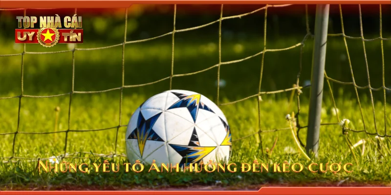 Những yếu tố ảnh hưởng đến kèo cược