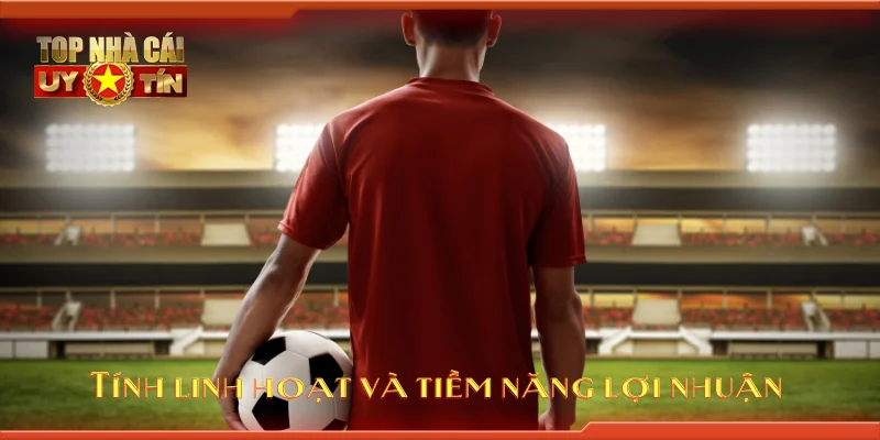 Tính linh hoạt và tiềm năng lợi nhuận