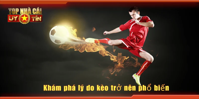 Khám phá lý do kèo trở nên phổ biến