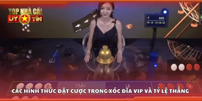 Các hình thức đặt cược trong xóc đĩa VIP và tỷ lệ thắng tương ứng