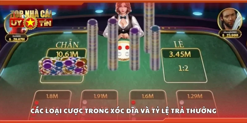 Một số loại cược trong xóc đĩa và tỷ lệ trả thưởng