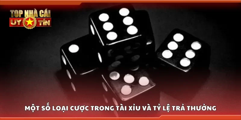 Các loại cược trong tài xỉu và tỷ lệ trả thưởng