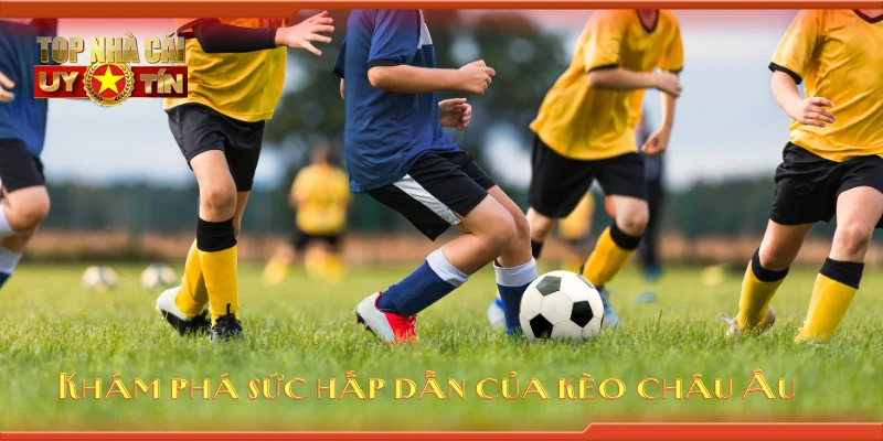 Khám phá sức hấp dẫn của kèo châu Âu