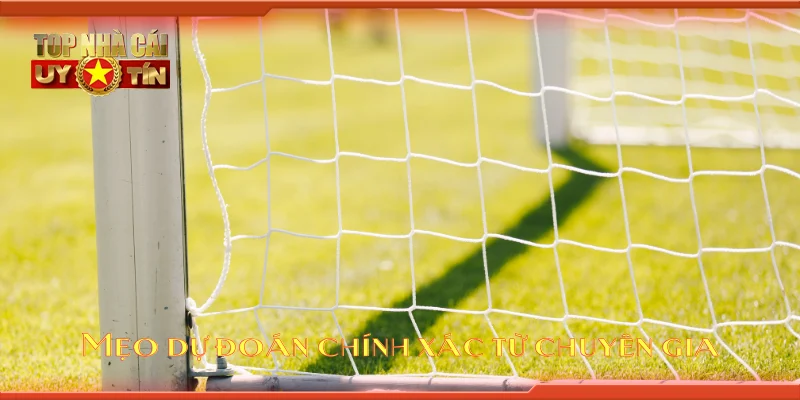 Mẹo dự đoán chính xác từ chuyên gia