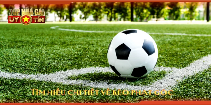 Tìm hiểu chi tiết về kèo phạt góc