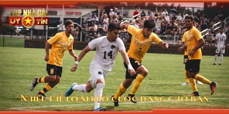 Nhiều thể loại kèo cược đang chờ bạn