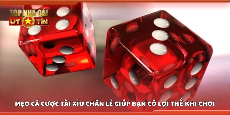 Mẹo cá cược tài xỉu chẵn lẻ giúp bạn có lợi thế khi chơi
