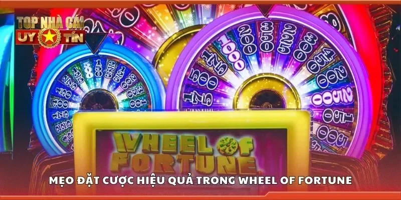 Mẹo đặt cược hiệu quả trong wheel of fortune