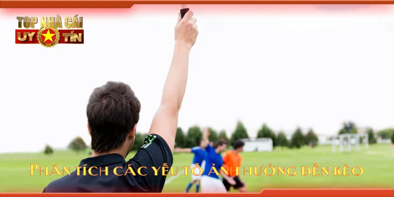 Phân tích các yếu tố ảnh hưởng đến kèo