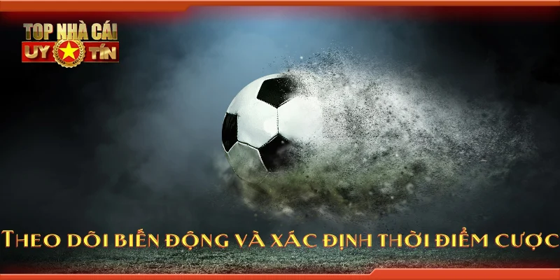 Theo dõi biến động và xác định thời điểm cược