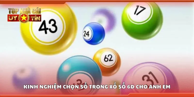 Chia sẻ kinh nghiệm chọn số trong xổ số 6D cho anh em