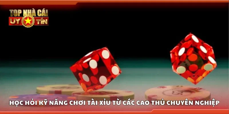 Học hỏi kỹ năng chơi tài xỉu từ các cao thủ chuyên nghiệp