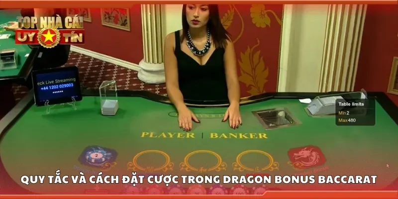 Tìm hiểu về quy tắc và cách đặt cược trong dragon bonus baccarat