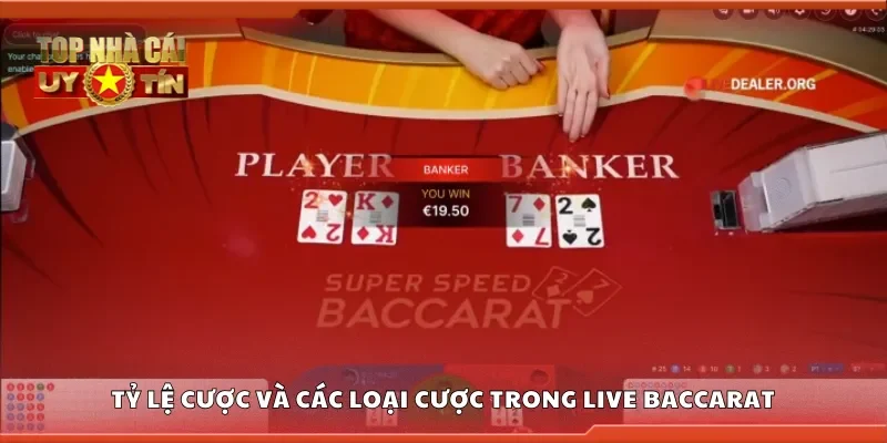 Nắm rõ tỷ lệ cược và các loại cược trong live baccarat