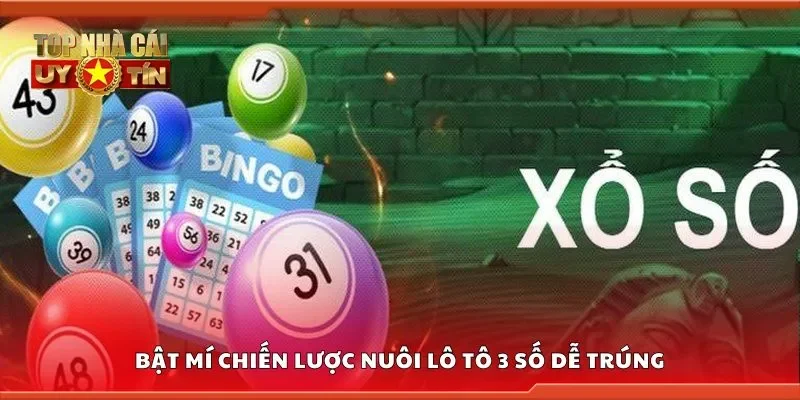 Bật mí chiến lược nuôi lô tô 3 số dễ trúng