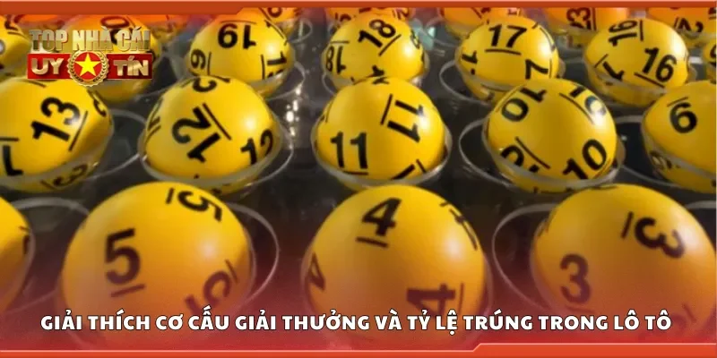 Giải thích cơ cấu giải thưởng và tỷ lệ trúng trong lô tô xổ số