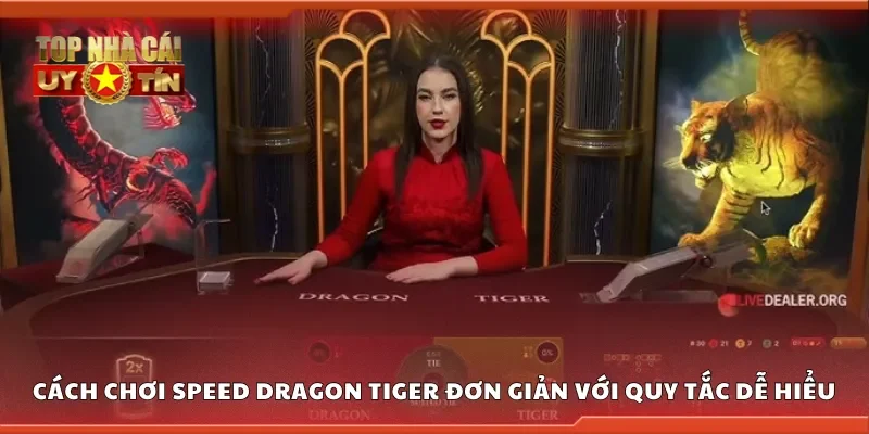 Cách chơi speed dragon tiger đơn giản với quy tắc dễ hiểu