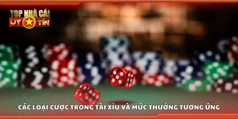 Các loại cược trong tài xỉu và mức thưởng tương ứng