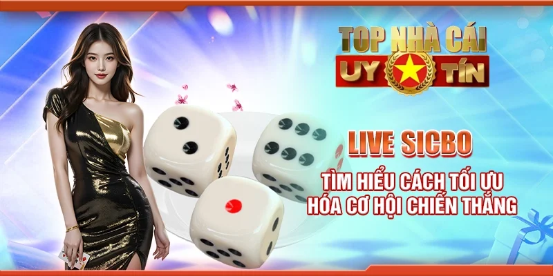 Live Sicbo - Tìm hiểu cách tối ưu hóa cơ hội chiến thắng