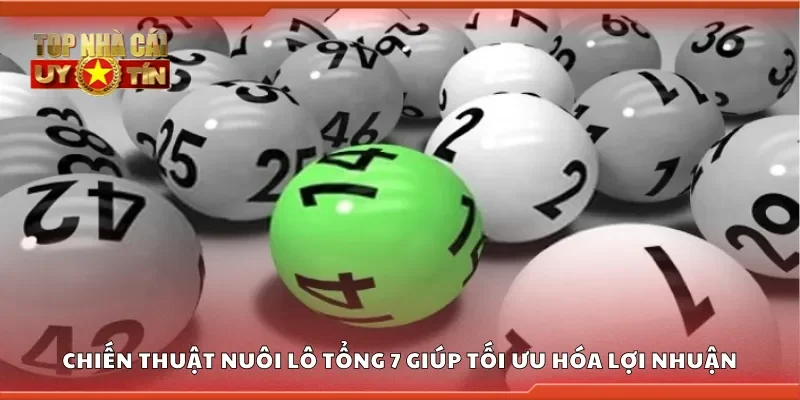 Chiến thuật nuôi lô tổng 7 giúp tối ưu hóa lợi nhuận