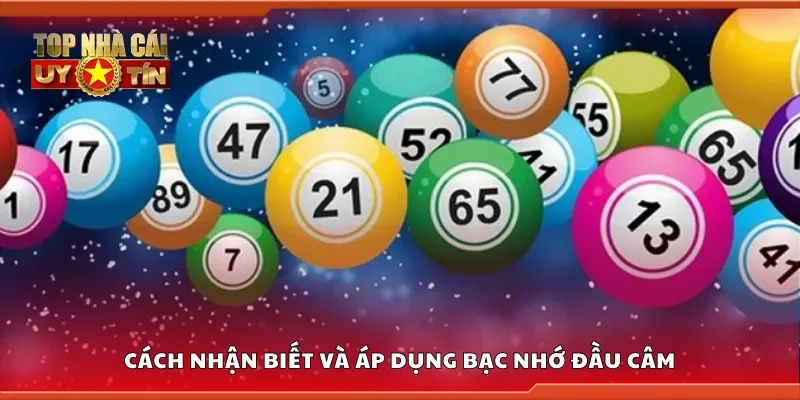 Chia sẻ cách nhận biết và áp dụng bạc nhớ đầu câm