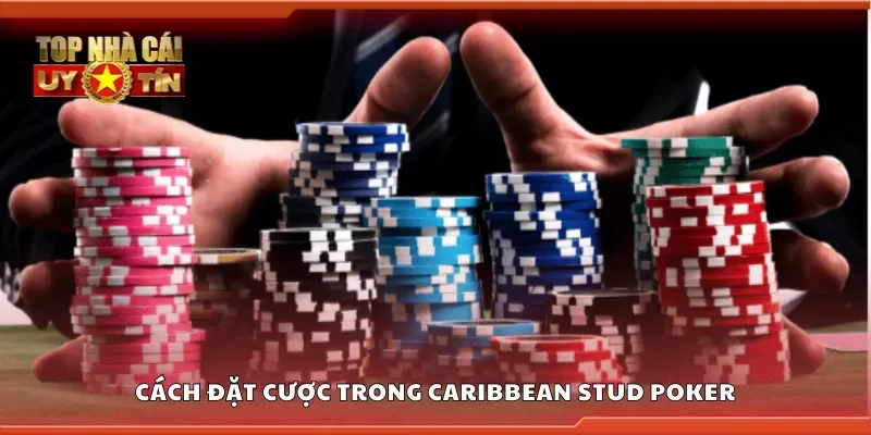 Cách đặt cược trong caribbean stud poker