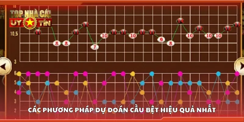 Các phương pháp dự đoán cầu bệt hiệu quả nhất