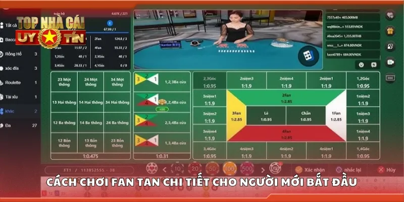Hướng dẫn chơi Fan Tan chi tiết cho người mới bắt đầu