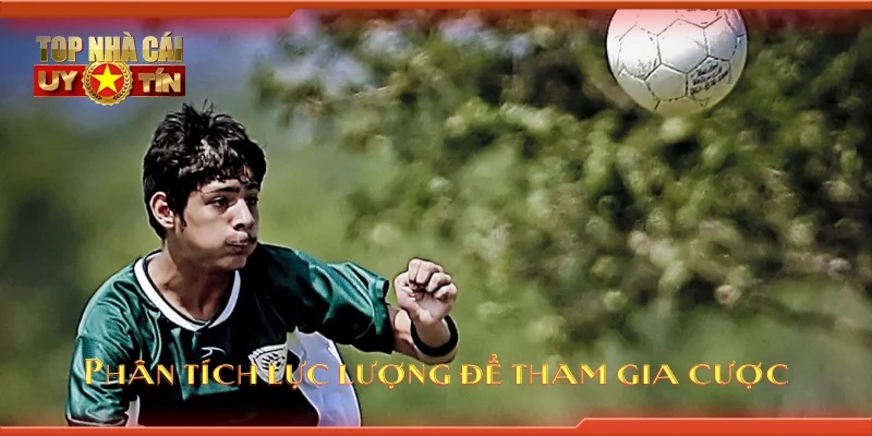 Phân tích lực lượng để tham gia cược