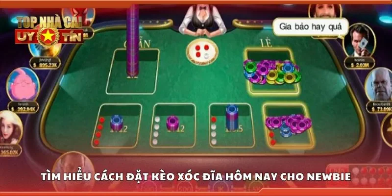 Tìm hiểu cách đặt kèo xóc đĩa hôm nay cho newbie