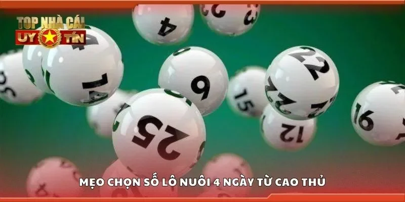 Mẹo chọn số lô nuôi 4 ngày từ cao thủ