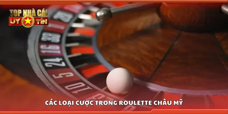 Một số loại cược trong roulette châu Mỹ