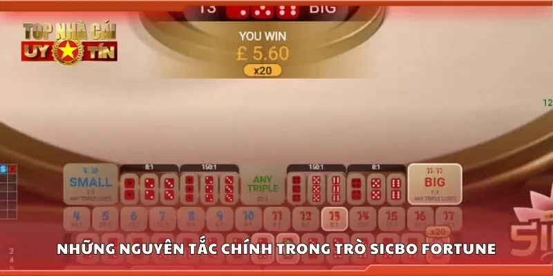 Những nguyên tắc chính trong trò sicbo fortune